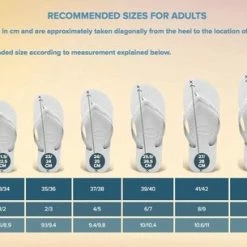 Havaianas Top Tiras Dames Slippers - Steel Grey - Maat 39/40 -Dames-schoenen Verkoop 550x305 3